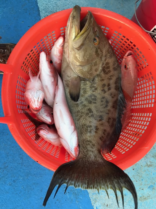 Best Sport Fishing South Carolina